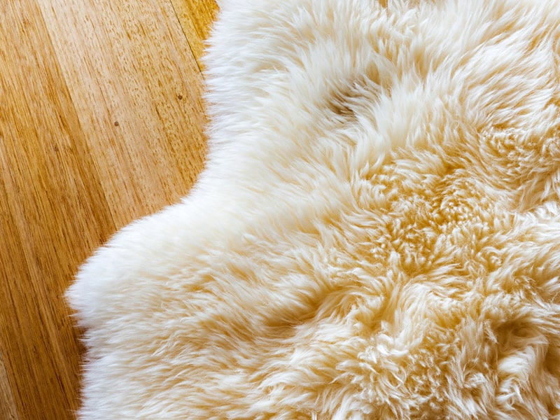 Pelle Ovina bianca: utilizzi e caratteristiche distintive